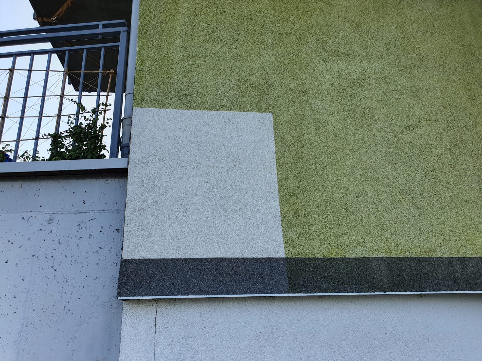 Jasne pole próbnego czyszczenia obok zielonego nalotu na tynku