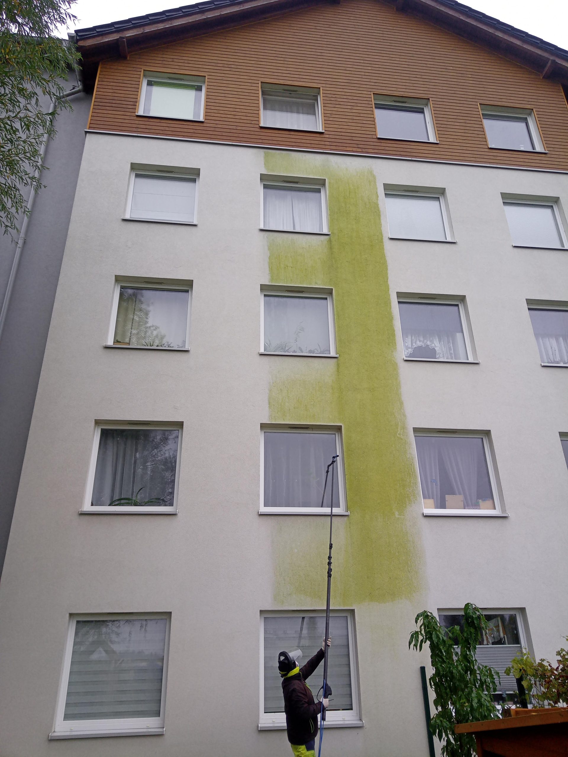 Czyszczenie elewacji domu z glonów w Trójmieście